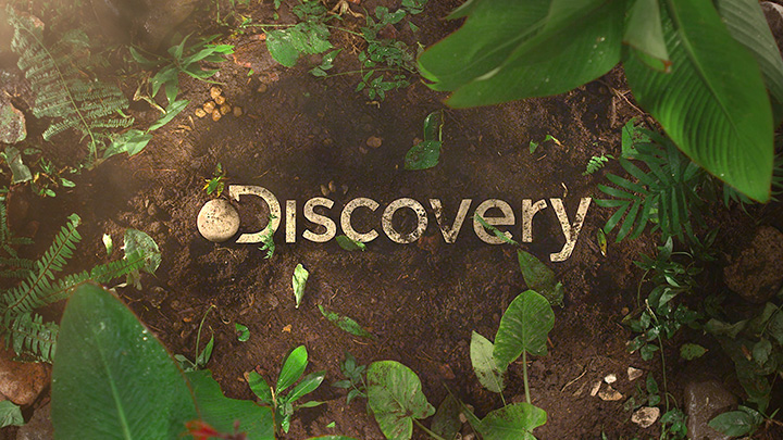 خرید اکانت سیسیکم برای شبکه‌های Discovery